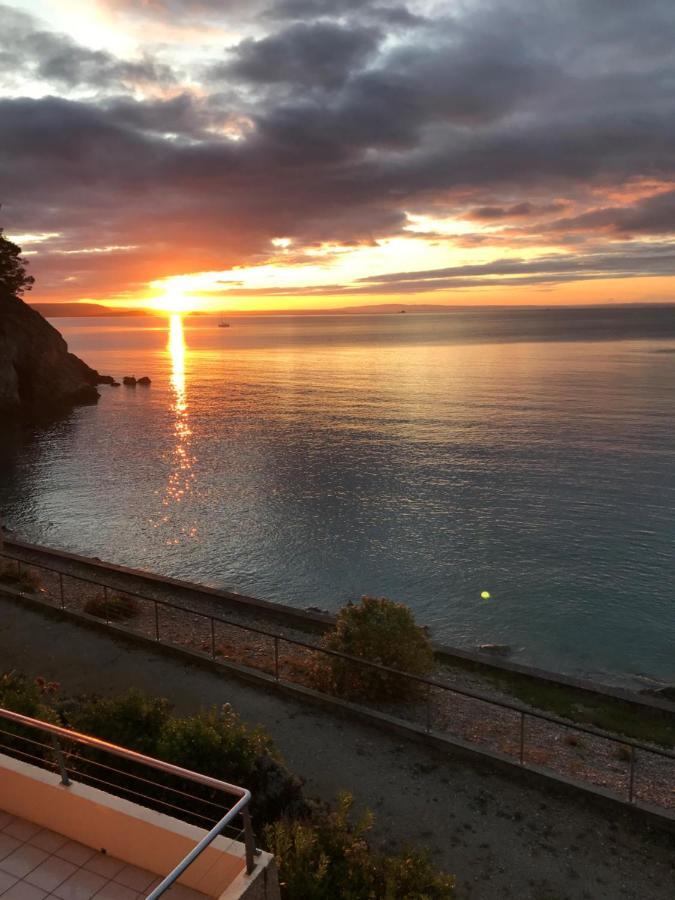 Appartement Cosy Les Pieds Dans L'Eau, Vue Mer Exceptionnelle Крозон Екстериор снимка